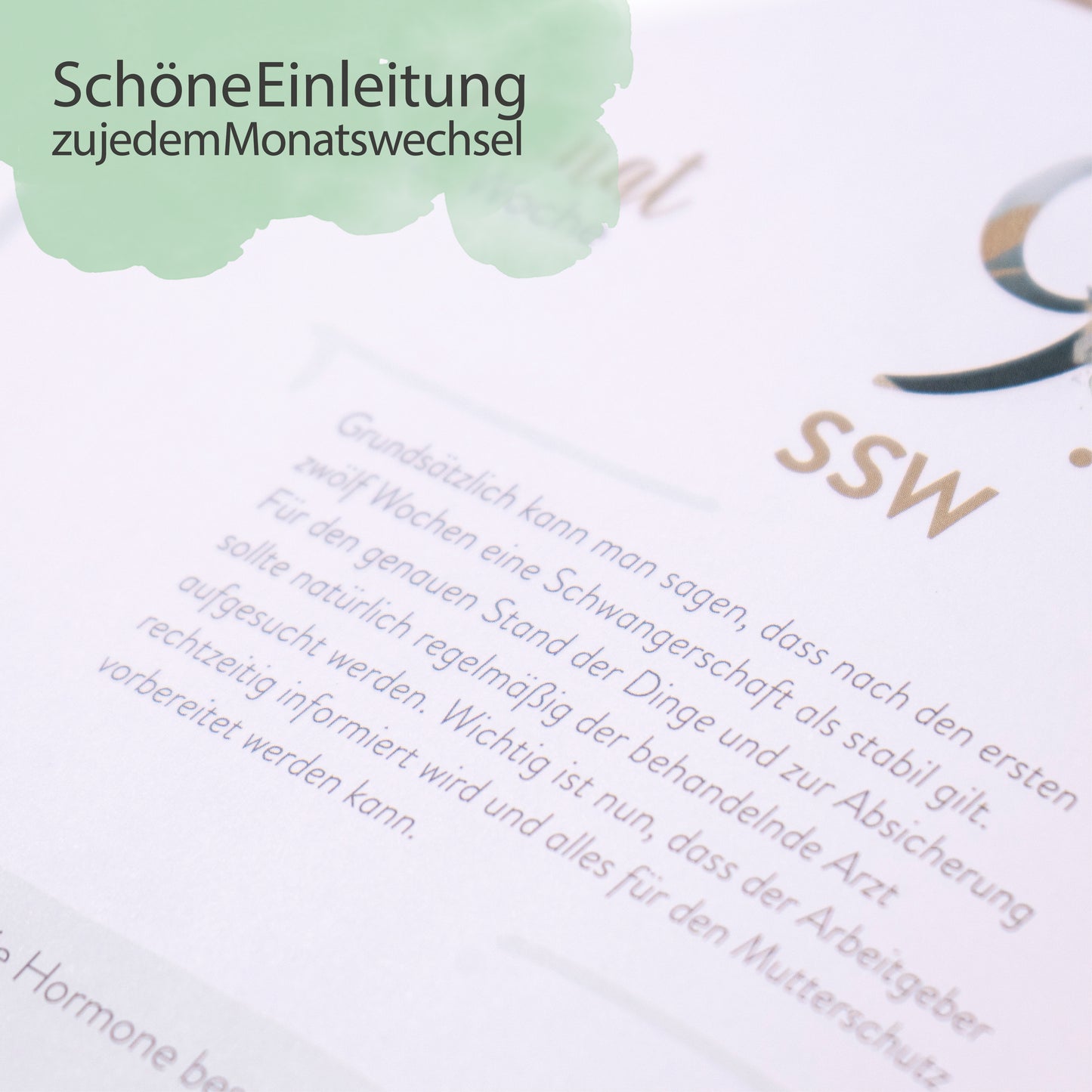 Schwangerschaftstagebuch Premium I Erinnerungsbuch I Baby-Buch I Fotoalbum I 124 Seiten
